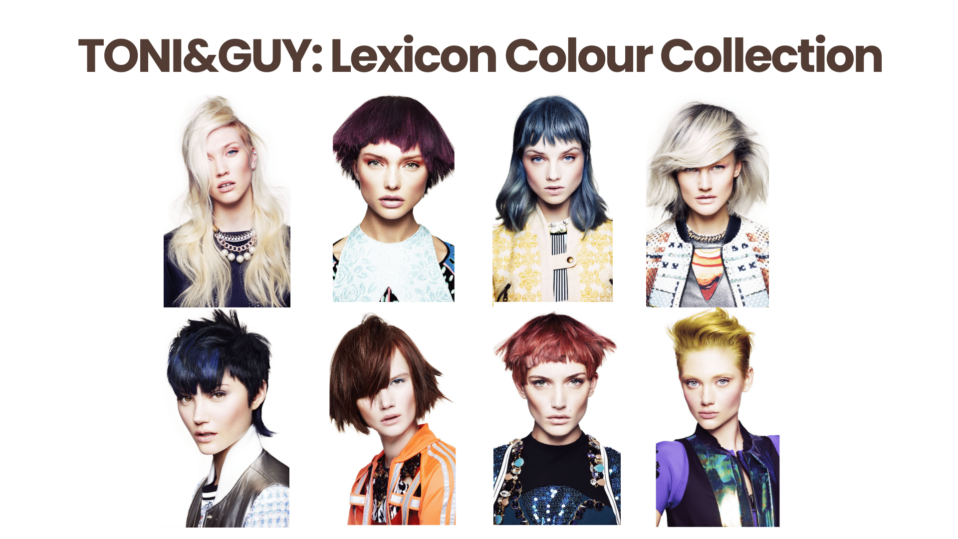 TONI&GUY: Lexicon Colour Collection