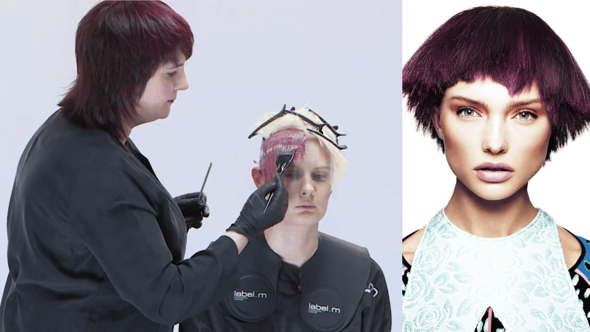 TONI&GUY: Lexicon – The Linea (Colour)